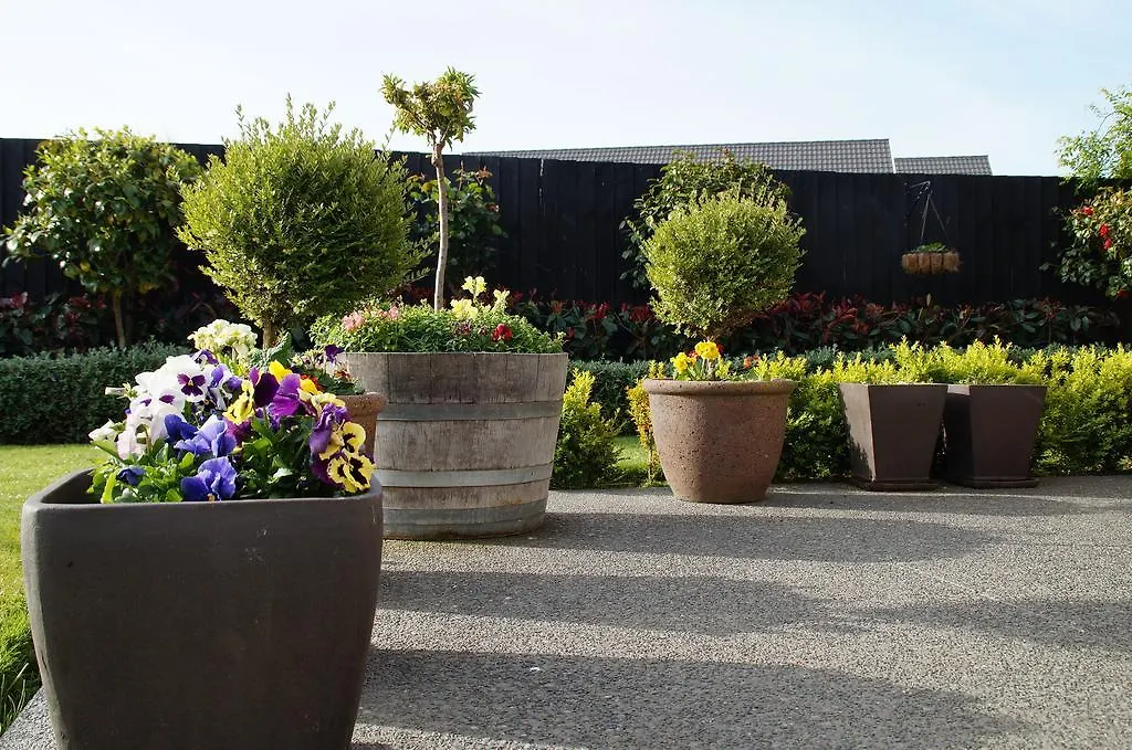 Olive House Bed And Breakfast Christchurch New Zealand